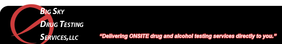 Big Sky Drug Testing Services, LLC